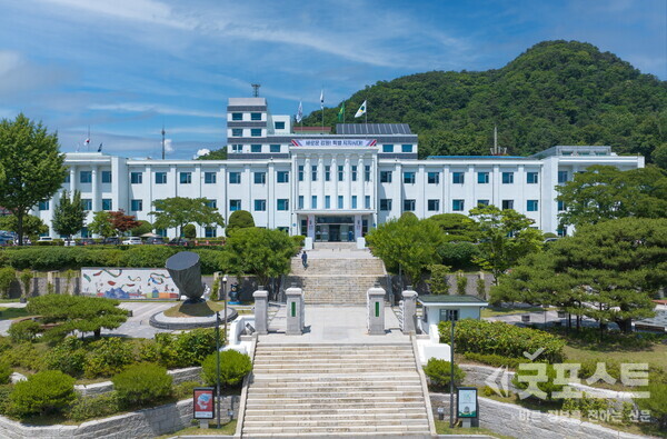 강원특별자치도 연말여행! 반려견과 함께 가볼만한 곳 5